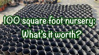 How much money is a 100 square feet nursery worth?