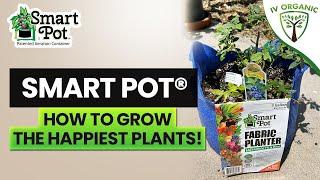 Pick The BEST Pot For Your Plants | @SmartPots Demonstration