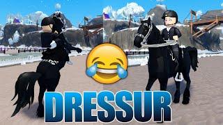 meine  DRESSUR  in Horse Valley  Roblox