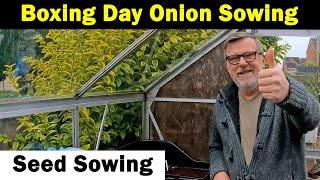 Traditional Boxing Day Sowing | Sowing Onions | Sowing Basics | Green Side Up