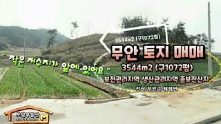 무안토지매매 작은저수지앞 3544m2 (구1072평) 매매가 5500만원 무안군 해제면 송석리 - 토담부동산