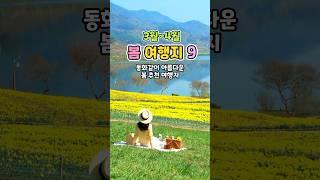 3월~4월 가보면 좋은 봄여행지 | 봄여행지 추천,봄 여행지,봄꽃 여행지,3월 여행지 추천,4월 여행지 추천,벚꽃 명소,다랭이마을,유채꽃, 4월 가볼만한곳,국내여행지 추천