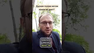 Дурная голова ногам покоя не дает.Но и умная может довести до полной Ж.#цитаты  #афоризмы #мудрость