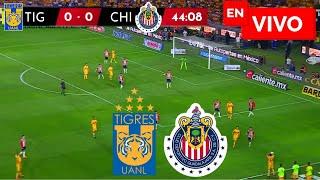  CHIVAS VS TIGRES PARTIDO EN VIVO / LIGA MX APERTURA 2024