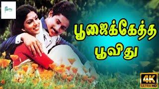 பூஜைக்கேத்த பூவிது நேத்து தானே பூத்தது | Poojaiketha Poovithu | Raja, Ranjini | Evergreen Love Song