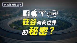 硅谷诞生了哪些改变世界的企业？为什么这些公司能够在硅谷成功？