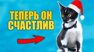 Спасение котенка. Котенок нашел дом / SANI vlog