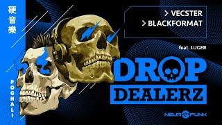 Drop Dealerz LIVE @ Neurobunker #23 / Vecster, BLACKFORMAT