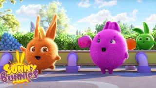 SUNNY BUNNIES - DELICIOUS FRUITS | SEASON 7 HITS | Cartoons for Kids