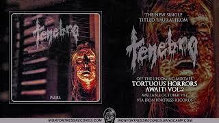 TENEBRO - PAURA (Iron Fortress Records)