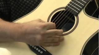 Seagull Artist Peppino Signature Cutaway QII Acoustic Guitar  | Jim Laabs Music 800-657-5125