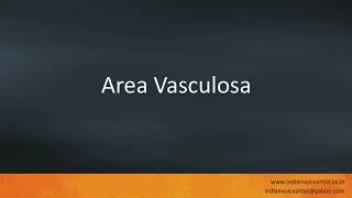 Pronunciation of the word(s) "Area Vasculosa".