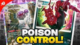 Scolipede is a MASSIVE UPGRADE for Weezing Control Decks! (TRY THIS) Pokemon TCG Pocket