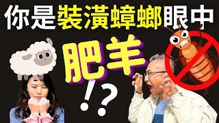 裝潢蟑螂眼中的肥羊是你嗎？免費領取「克蟑6密技」還有裝潢費用、客廳裝潢、小坪數裝潢熱門資訊，快來看看有關裝潢蟑螂、裝潢費用、客廳裝潢、小坪數裝潢的最新知識！