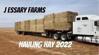 Hay Hauling 2022