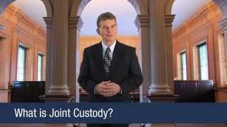 What is Joint Custody?