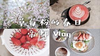 栗之酱 2帝都vlog 草莓味的春天|周中工作周末Brunch日常|做手帐|北平花园|探店学习