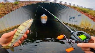 Pêche insolite au leurre dans un fossé !!