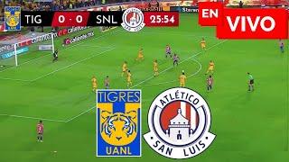  TIGRES VS SAN LUIS EN VIVO Y EN DIRECTO / LIGA MX APERTURA 2024