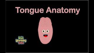 Human Body /Tongue Song/Human Body Systems