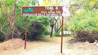 Discover the Beauty of Dhok Jeevan Loop on Trail 4  || Margalla Hills || Islamabad #Hiking