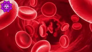 Get Rid Of All Kinds Of Anemia | Anemia Healing Rife Frequency | Increase Red Blood Cell Production