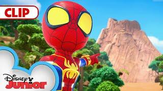 Team Spidey Saves Iguana Sanctuary! | Marvel's Spidey and his Amazing Friends | @disneyjr​