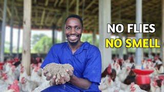 NO SMELL Chicken House | How often should you change the Litter?