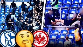 Alle Hintergründe zur Tribünen-Schlägerei zwischen Schalke und Frankfurt! (S04 - SGE 2:2)