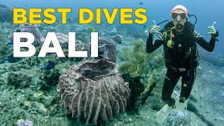 Most Beautiful Dive Sites in Bali | All You Need to Know