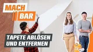 Tapete ablösen und entfernen | OBI