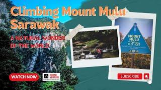 Climbing Mount Mulu Sarawak: A natural wonder of the world