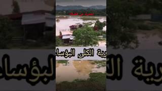 قرية الكلى البائسة. #روايات #غريب #غموض #معلومات #المعرفة #القرين #رمضان #أرض_زيكولا #المتابعون #خوف