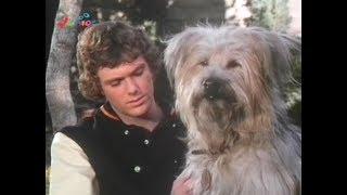 Here's Boomer - INTRO (Serie Tv) (1980 - 1982)