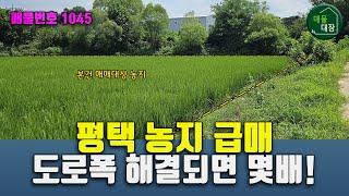 평택 토지 매매 급매 도로폭만 해결되면 몇배되는 땅