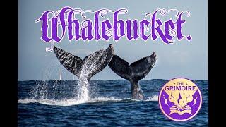 Whalebucket Community Reward Night | LIVE STREAM EVENT