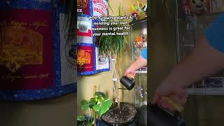 Growing Plants and Minding Your Own Business Is Good For Your Mental Health