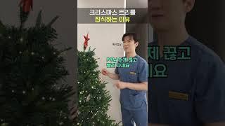 크리스마스 트리를 장식하는 이유 l 행복한 성탄절 되세요! #메리크리스마스 #캐롤 #크리스마스트리 #크리스마스 #성탄절