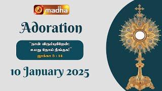  LIVE 10 January 2025 | Adoration 11:00 AM | Madha TV