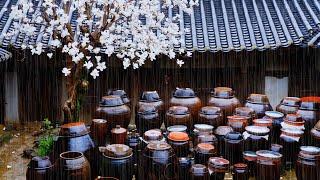 ASMR / Korea's beauty, how does the sound of rain falling on hanok and saucepans feel?