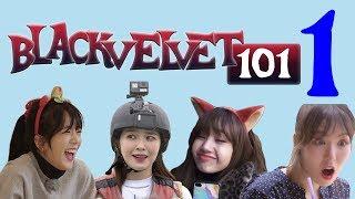 BLACKVELVET 101 [BLACKPINK & RED VELVET ON CRACK] | Ep. 1