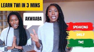 LEARN AND PRACTICE TWI IN 3 MINUTES. Speaking only Twi with subtitles || With Adwoa Lee