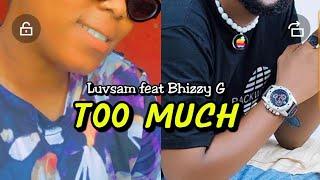 Luvsam ft Bhizzy G - Too  much