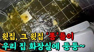 변기역류 발생 그런데 진짜 원인은 놀라웠다! (184화) | 하수구공식TV