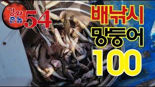 강화촌놈 망둥어 배낚시 100마리!!!