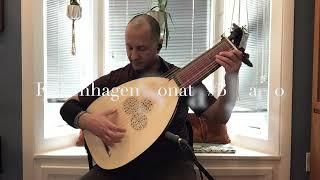 Adam Falkenhagen, Sonata 3, Op.1 B-flat Major, Emil Krasich - baroque lute