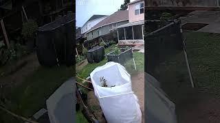 INSANE WIND FROM HURRICANE IAN DESTROYED MY BARRIER