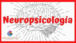 NEUROPSICOLOGÍA, ¿Qué es?, ¿Cuáles son sus ámbitos de acción y competencias?