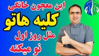 پاکسازی کلیه در خانه: قوی‌ترین نسخه خانگی سم زدایی و پاکسازی کلیه بدون دارو| تقویت کلیه| سنگ کلیه