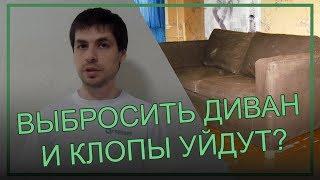 Выбрасывать ли диван, если завелись клопы